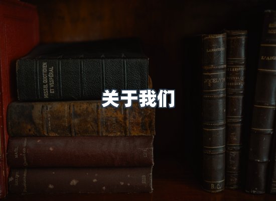 专业团队